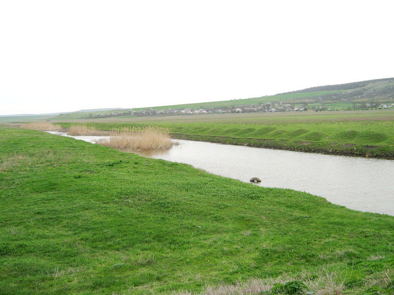 Малий Куяльник